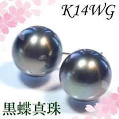 2022年最新】K14WG 黒真珠 タヒチの人気アイテム - メルカリ 価格は安く 10.3-10.4㎜ 送料無料 新品 K14WG イヤリング タヒチ黒蝶真珠 イヤリング