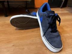 Nike SB / Navy, Blue / US9 (27cm)のサムネイル