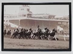 競馬.ハクチカラ.パネル.JRA-60th
