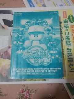 実況パワフルプロ野球12決定版 公式ガイド プレステ2