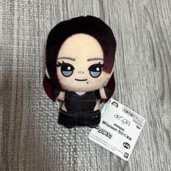 aespa ちびぐるみ ぬいぐるみ マスコット namco エスパ カリナ aespa エスパ ちびぐるみ カリナ ナムコ限定!!ぬいぐるみ