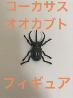 2025年最新】ムシキング コーカサスオオカブトの人気アイテム