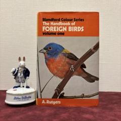 No.241 古書 洋書 児童書 植物·昆虫·動物·樹木·鳥·蝶·魚 図鑑 自然