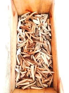 singlefook　鹿の角 エゾシカ 鹿 角先 15kg けんか角 端材 singlefook様専用 鹿の角 エゾシカ 鹿 角先 15kg けんか角 端材