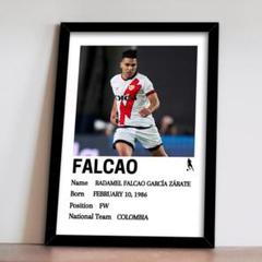 190-ラダメル・ファルカオ　A4額装付き　ワールドカップのサムネイル