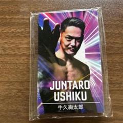 RIZIN ファンクラブ会員グッズ一式 新品　未使用 RIZIN FF OFFICIAL on X: 