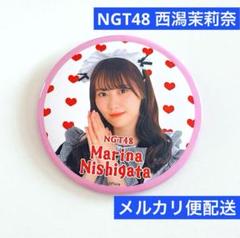 NGT48スプリングコンサート昼公演西潟茉莉奈　アクスタ NGT48 西潟茉莉奈 生写真 アクリルスタンド スプリング
