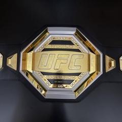 IBF チャンピオンベルト ボクシング 井上尚弥