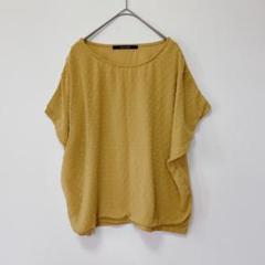 ブルーストライブ【M】ブラウス/ドット柄 刺繍 フレンチスリーブ 綿 大人可愛い