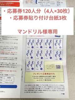 2025春大特価セール！ 専用】火を使わないお灸 太陽 プレゼント応募券120人分＆応募 その他