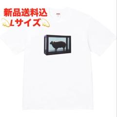2025年最新】ダミアンハースト supremeの人気アイテム - メルカリ