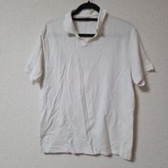 ZARA　ザラ　半袖　ポロシャツ　白　ホワイト　White