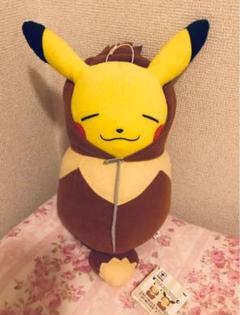 ぬいぐるみ ピカチュウ イーブイ頭巾