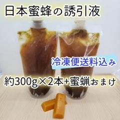 日本蜜蜂誘引液4500ml ミツロウ900g Amazon.co.jp: 蜜蜂 蜜蝋 誘引剤 3個セット 約100g 手に持ち