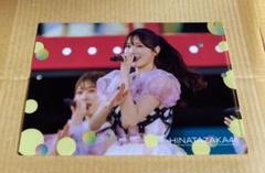 ひかりTV  乃木坂４６　日向坂４６　櫻坂４６　直筆サイン入り　クリアファイル Amazon.co.jp: ひかりTV 乃木坂46 日向坂46 櫻坂46 直筆