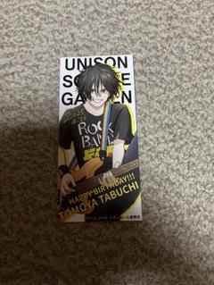 Pants TBC UNISON SQUARE GARDEN 田淵智也 監修！！ 田淵智也氏Newモデルが登場！Tabuchi Mk-Ⅱ【UNISON SQUARE
