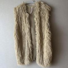 ⭐︎美品！人気完売！Dignite collier ディニテコリエ　ファーベスト Dignite collier ディニテコリエ ファーフレアジレ ファーベスト