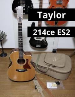 Taylor 214ce 美品 純正ケース付き エレアコ Taylor 214ce 美品 純正ケース付き エレアコ