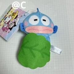 ゆるかわ　サンリオキャラクターズ　マスコット　ハンギョドン　こどもの日　柏餅
