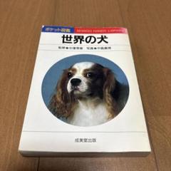 世界の犬 中野秀俊 成美堂出版