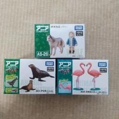 アニア オオカミ アシカ フラミンゴ 未開封 - メルカリ