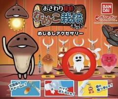 なめこ栽培キット　めじるしアクセサリー　マサル