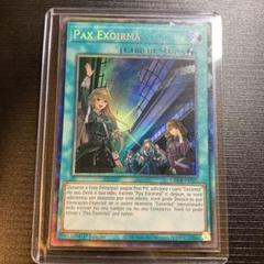 遊戯王 ポルトガル版 エクソシスターパークス コレクターズレア