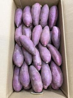 えっぐのっぐ！熊本県産　熟成紅はるかA品Mサイズ20キロ 3171018af4385210adec071e513692