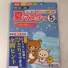 夏マスター 5年ドリル