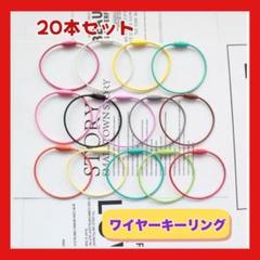 ワイヤーキーリング キーチェーン 20色セット キーホルダー ワイヤー