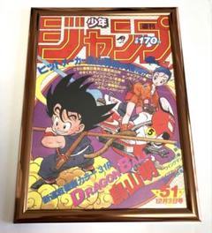 ドラゴンボール　タペストリー　当時物　映画　アニメイト　DRAGONBALL ドラゴンボールタペストリー当時物映画アニメイト