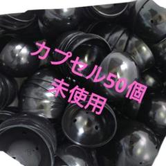 あミューズ 75㎜ 空カプセル 50個 黒 日本製 ガチャガチャ カプセル