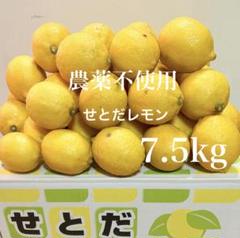 1国産瀬戸田レモン7.5kg前後 9国産瀬戸田レモン7.5kg前後 - メルカリ