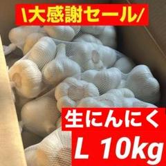 【大感謝セール】新物 青森県産 生にんにく A品 L 5kg福地ホワイト六片 大感謝セール】新物 青森県産 生にんにく 2L 5kg 福地ホワイト六