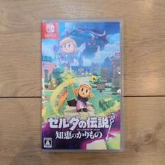 Switch ゼルダの伝説 知恵のかりもの