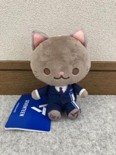 SEVENTEEN ANIMAL COORDY ミニぬいぐるみ～DREAM～｜セガプラザ
