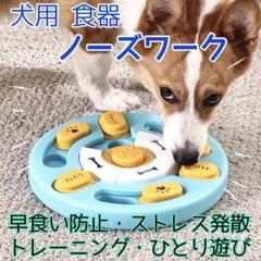 新品未使用　ノーズワーク‼︎ fit=scale-down,w=1200