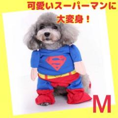 スーパーヒーロー マントの中古 未使用品 メルカリ