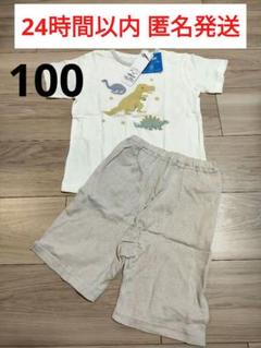 【新品タグ付き】100 半袖パジャマ 吸水速乾 トップバリュ 恐竜