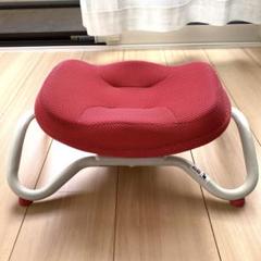 ながらウォーク (ダイエット器具 フィットネス 宅トレ ショップジャパン)
