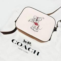 美品 コーチ シグネチャー ディズニー コラボ ワンショルダー ボディバッグ 白 2025年最新】coach ディズニー disneyの人気アイテム - メルカリ