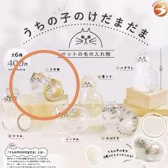 しろ ( プロフ必読 ) の出品した商品 - メルカリ