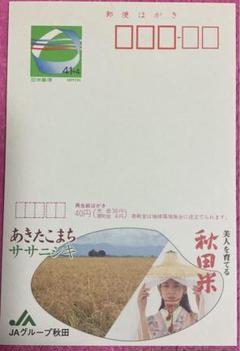 Ｑちゃんエコーはがき562枚 Qちゃん様専用エコーはがき562枚