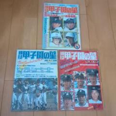 輝け甲子園の星　1983年春夏高校野球号のサムネイル