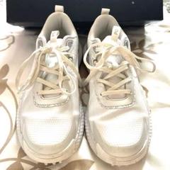 25cm パーリーゲイツ バッファローチェックゴルフシューズ ユニセックスモデル Amazon | [パーリーゲイツ] レディース ゴルフシューズ ゼブラ