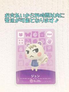 どうぶつの森　amiibo アミーボカード　ジュン　グミ　スピカ　など　リス あつまれどうぶつの森 amiibo カード【人気リス住民セット