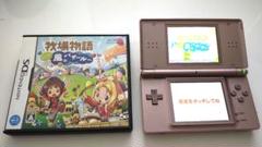 【動作確認済み】DSソフト「牧場物語 ようこそ!風のバザールへ」