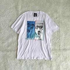 アディダス Tシャツ 半袖カットソー コットン ヤシの木 ビックプリント 写真