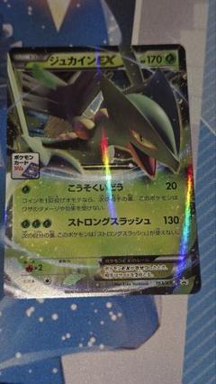 ジュカインEX：MマスターデッキビルドBOX PROMO XYシリーズプロモー…
