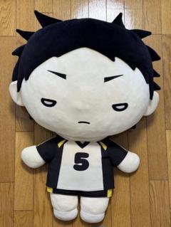 2025年最新】赤葦 にとたん ぬいぐるみの人気アイテム - メルカリ